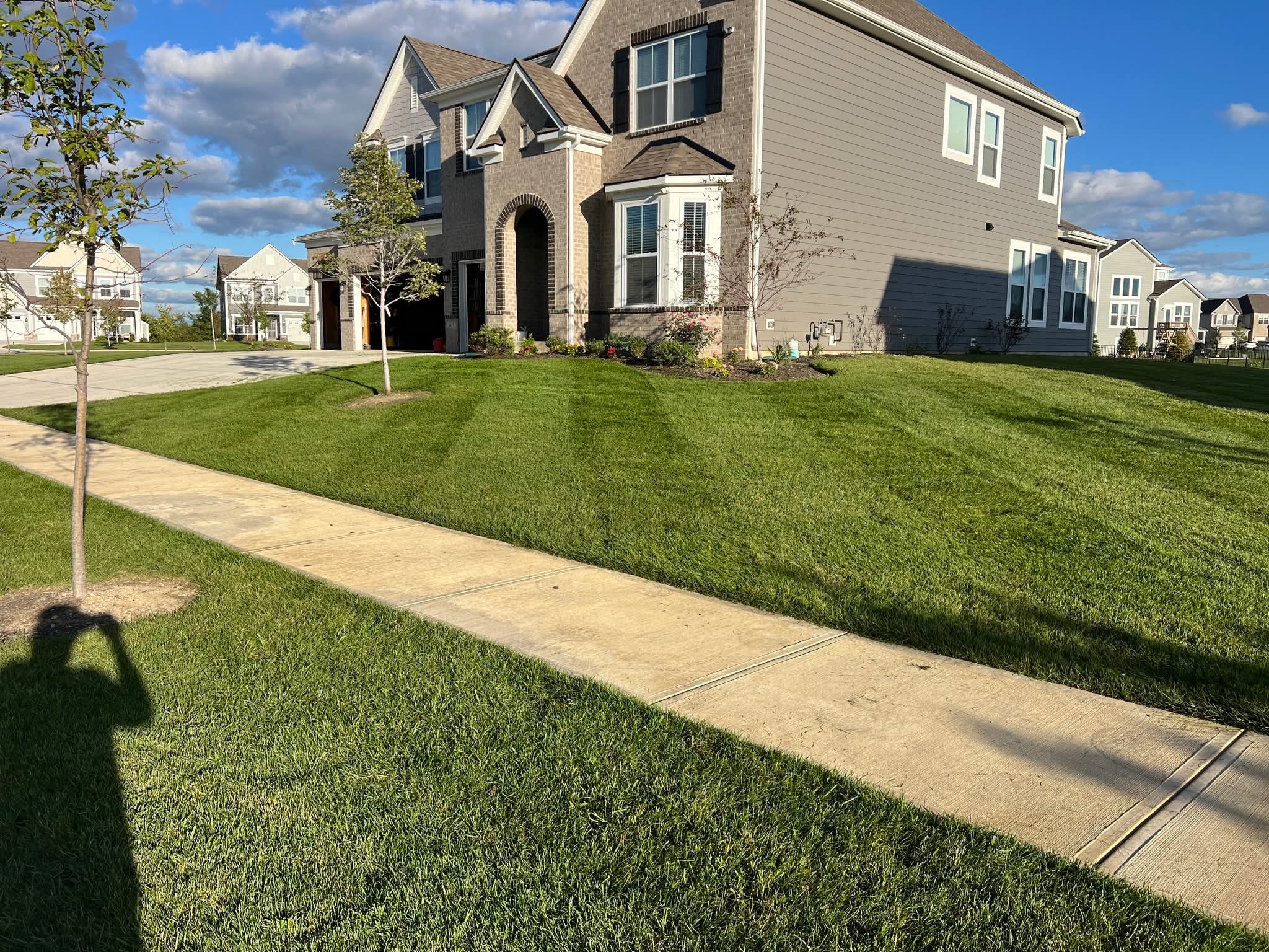 Lawn care project