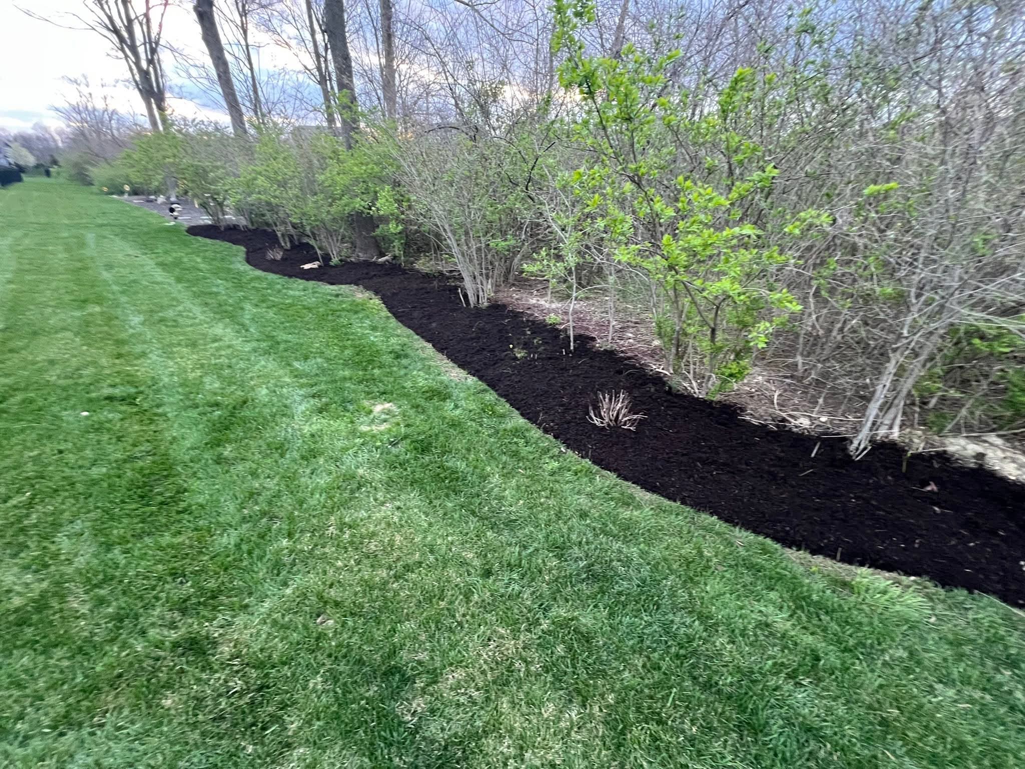 Lawn care project