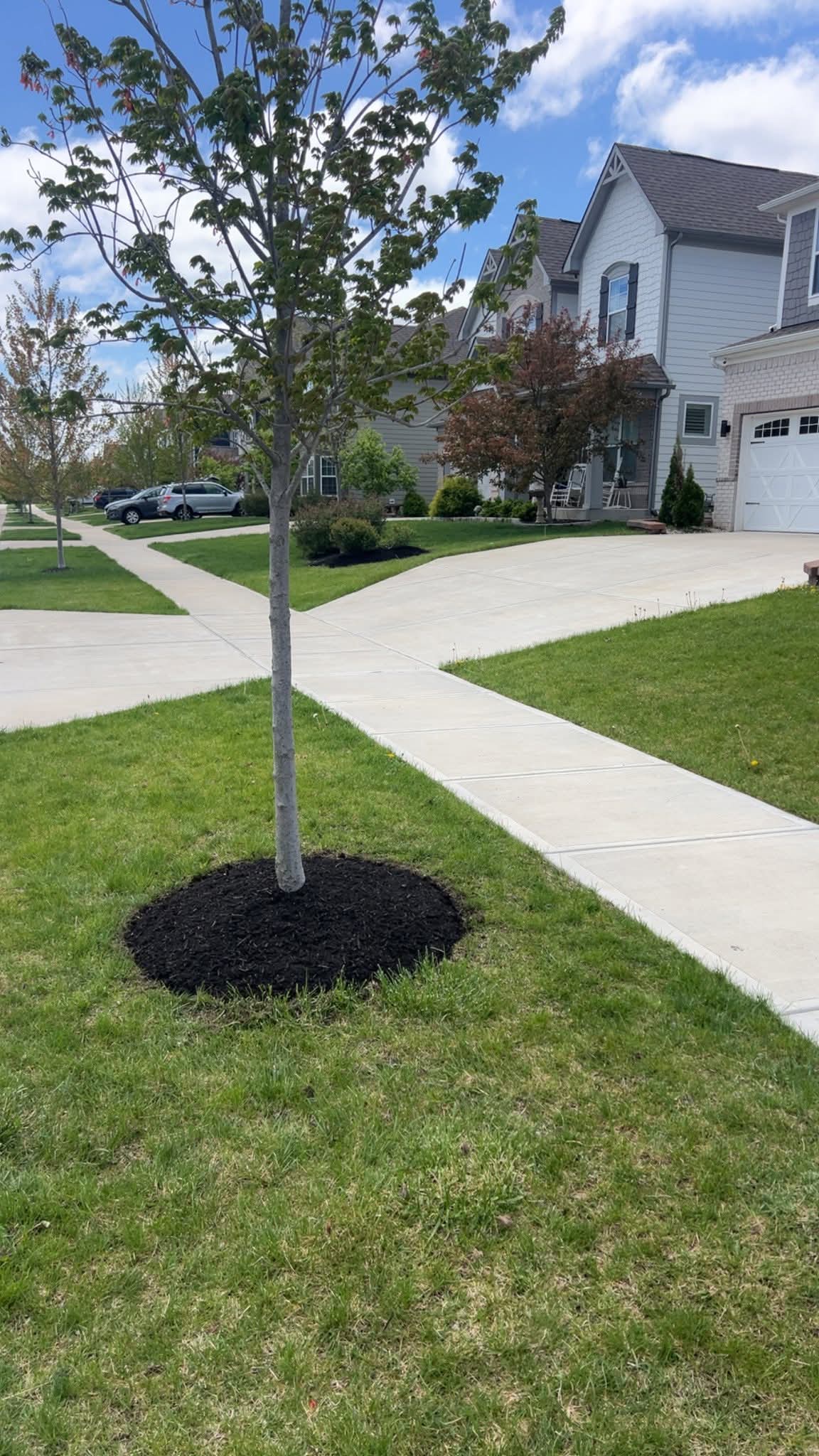 Lawn care project